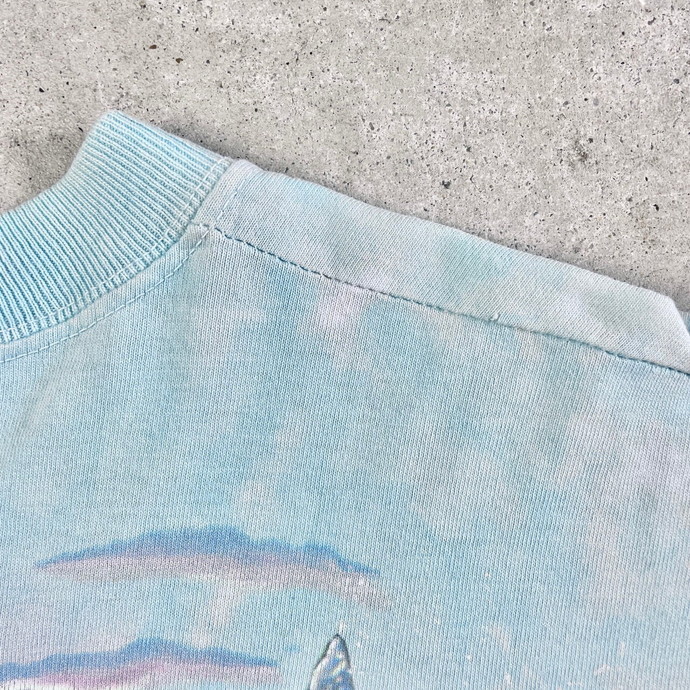 90年代 USA製 LIQUID BLUE 海 タイダイ アート ビッグプリント Tシャツ メンズL_画像8