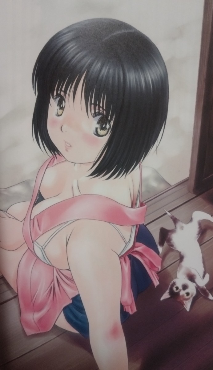 こばやしひよこ 画集 おくさまは女子高生 2005年9月30日 第1版発行の画像2
