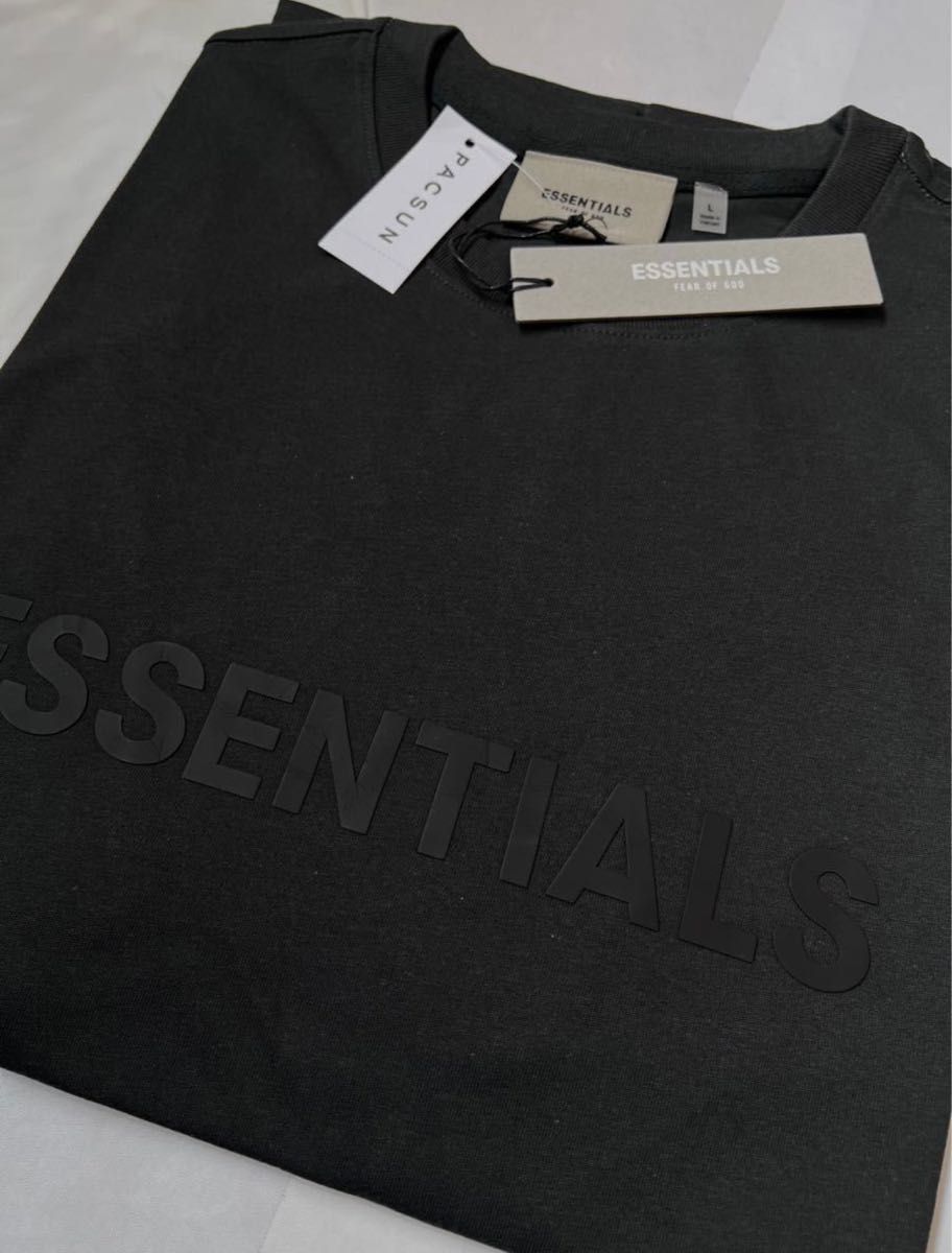 すぐ発送！essentials 半袖　Tシャツ　フロントロゴ　XL