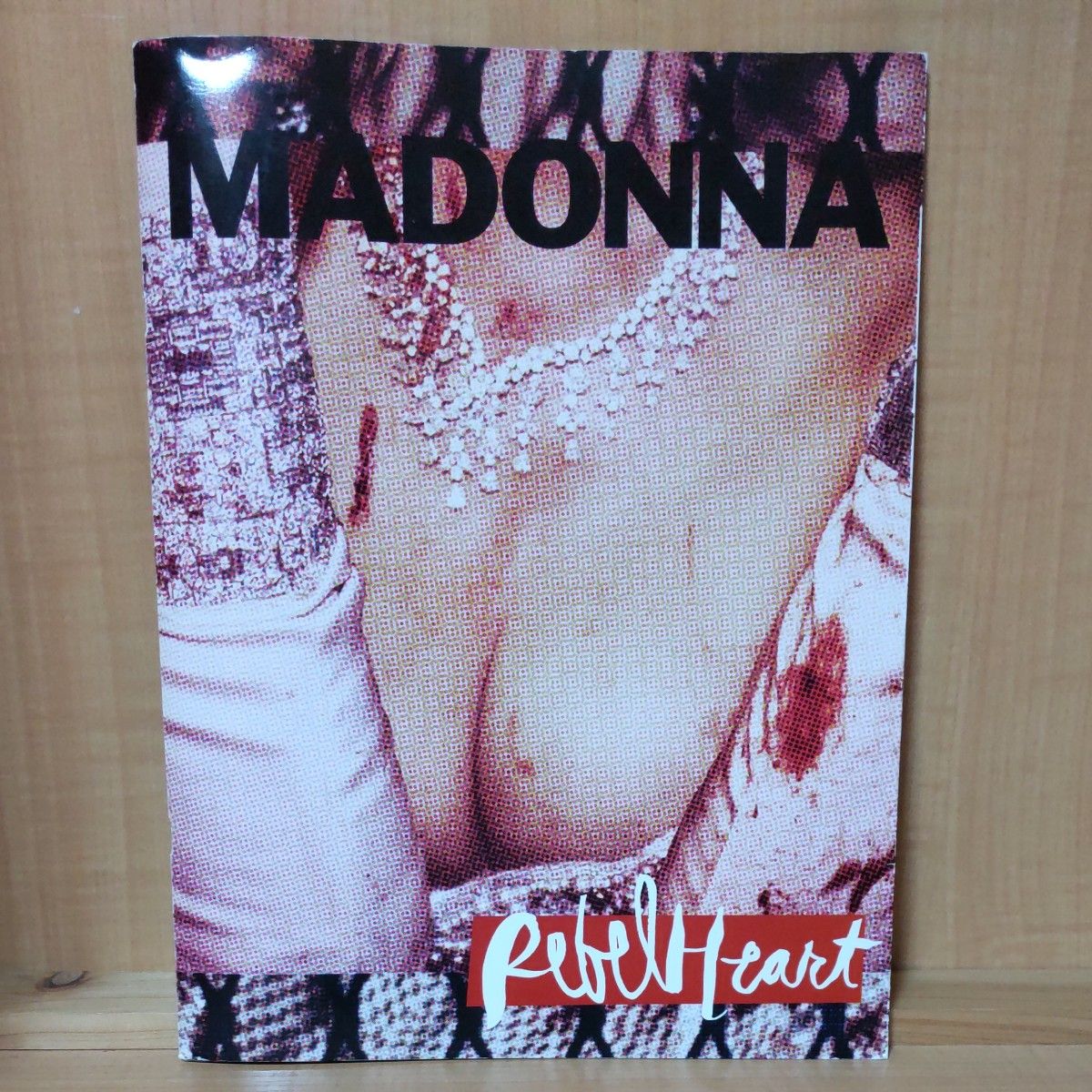 Madonna マドンナ アートブック