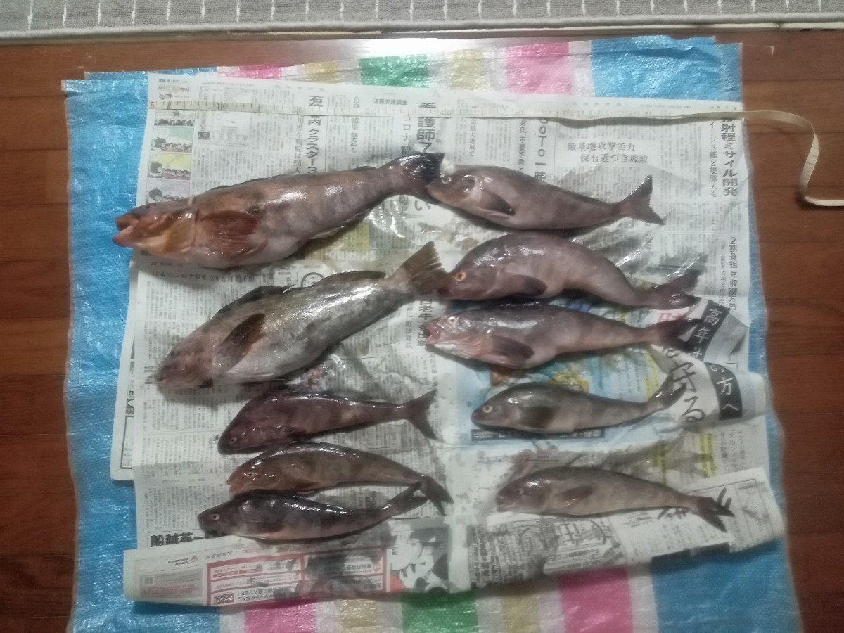 釣会オリジナル イワシエキス 100g 集魚効果抜群 がまかつ 磯釣り 底物 石鯛 グレ ダイワ シマノ_画像9