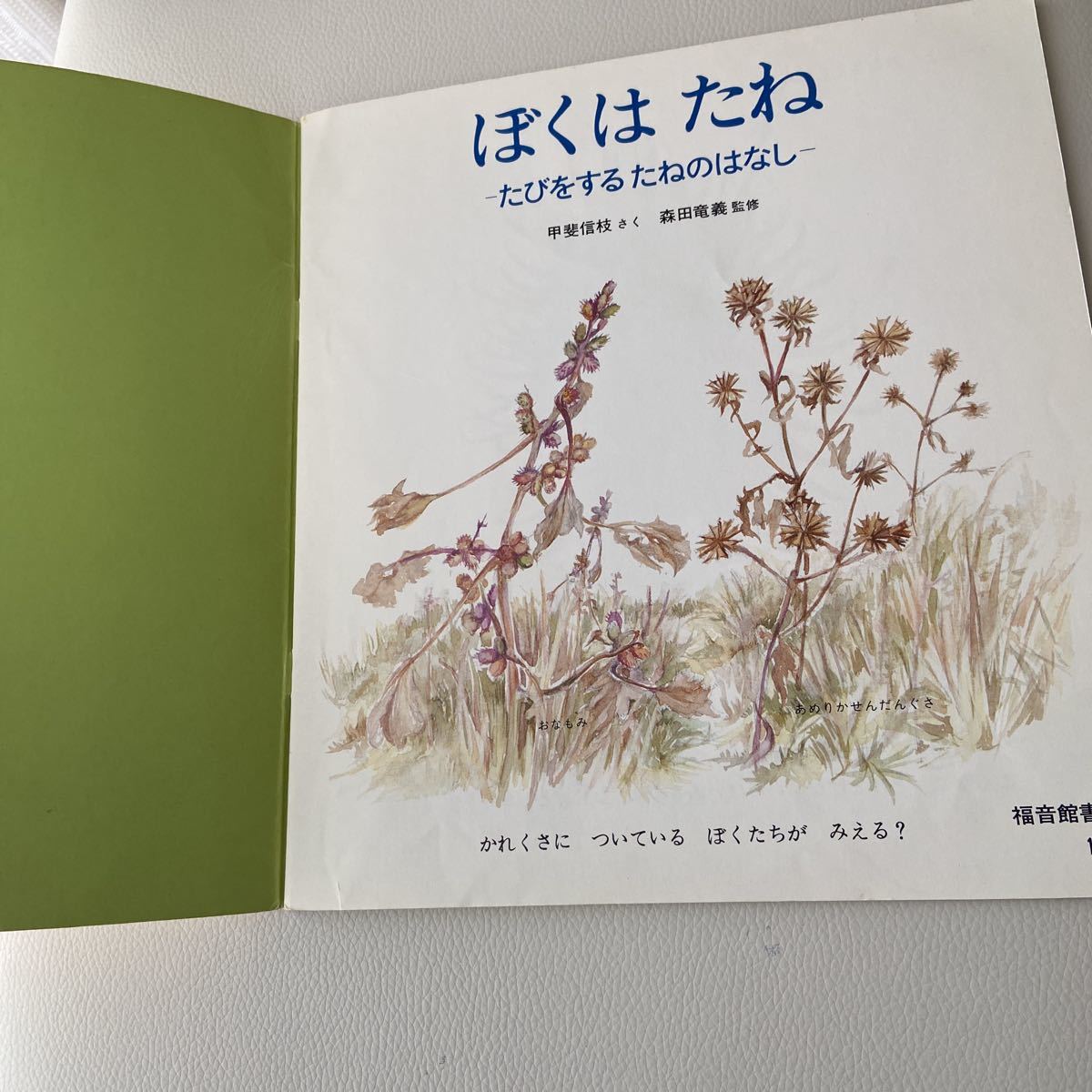 希少本　ぼくはたね　たびをするたねのはなし　かがくのとも　科学絵本　月刊　甲斐信枝　ソフトカバー　福音館　福音館書店