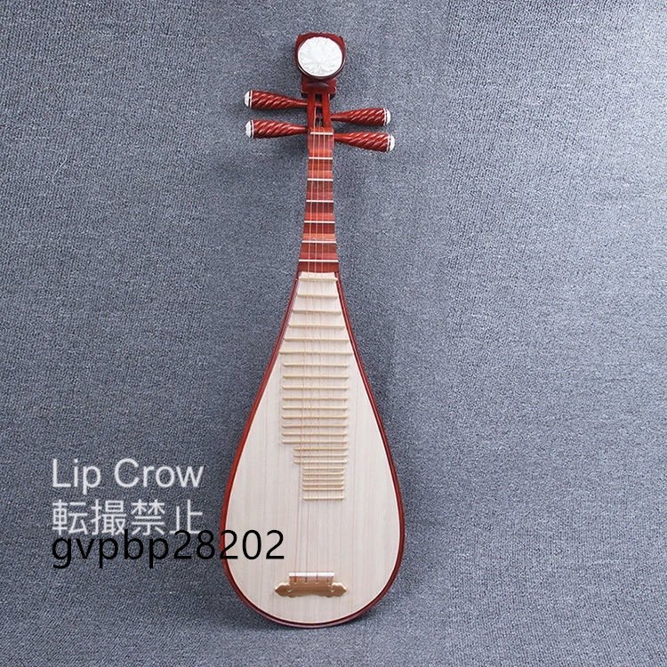  China musical instruments biwa musical instruments tools and materials traditional Japanese musical instrument 