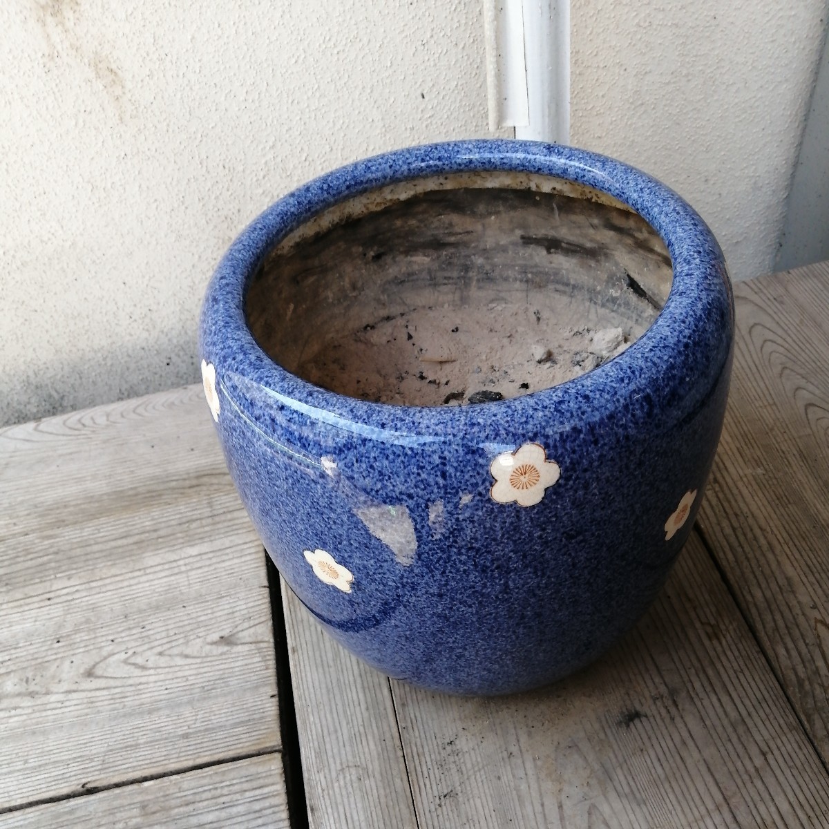 火鉢 梅 メダカ 金魚 睡蓮鉢 骨董 アンティーク | www.qmsbrasil.com.br