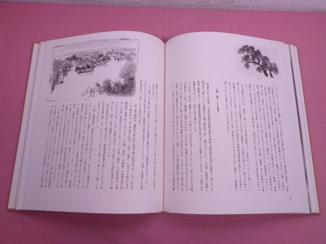 『 現代日本画全集 12 - 東山魁夷 』 座右宝刊行会 集英社_画像2