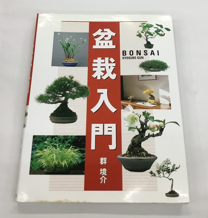  bonsai introduction group .. west higashi company the first version used 