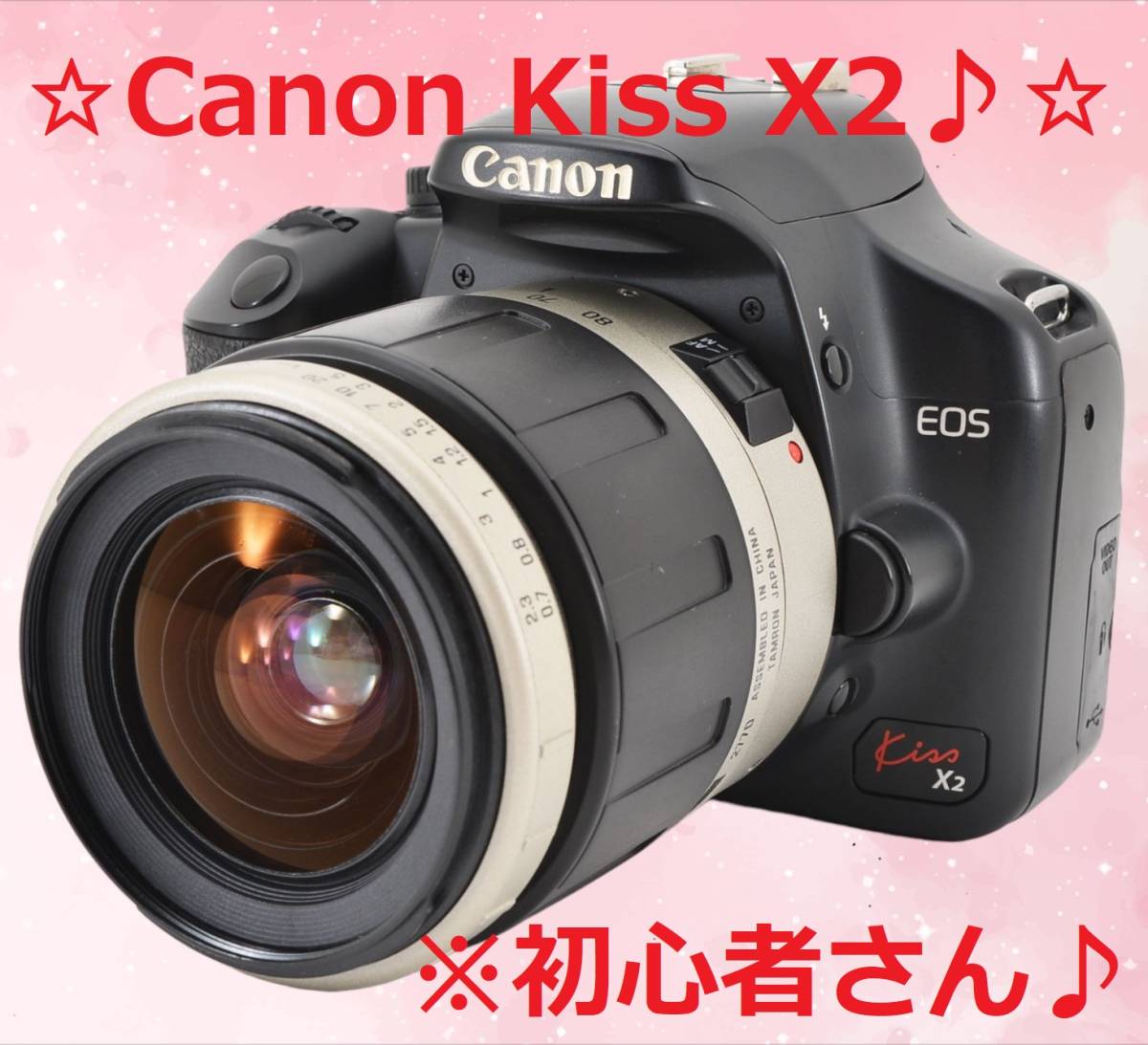 通販でクリスマス ショット数2438回♪ Canon #5807 X2 Kiss EOS キャノン キヤノン
