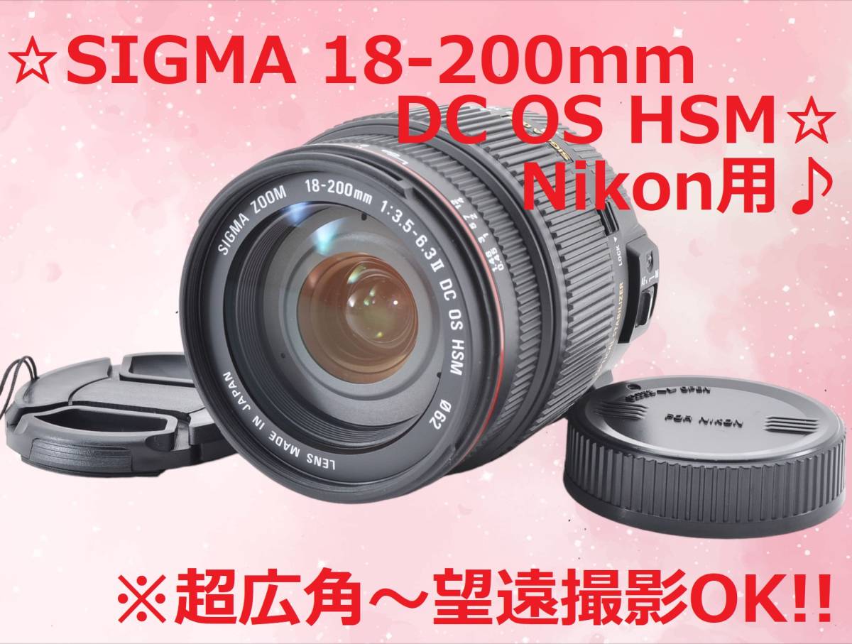 Nikon 用 SIGMA 18-200mm DC OS HSM #5883_画像1