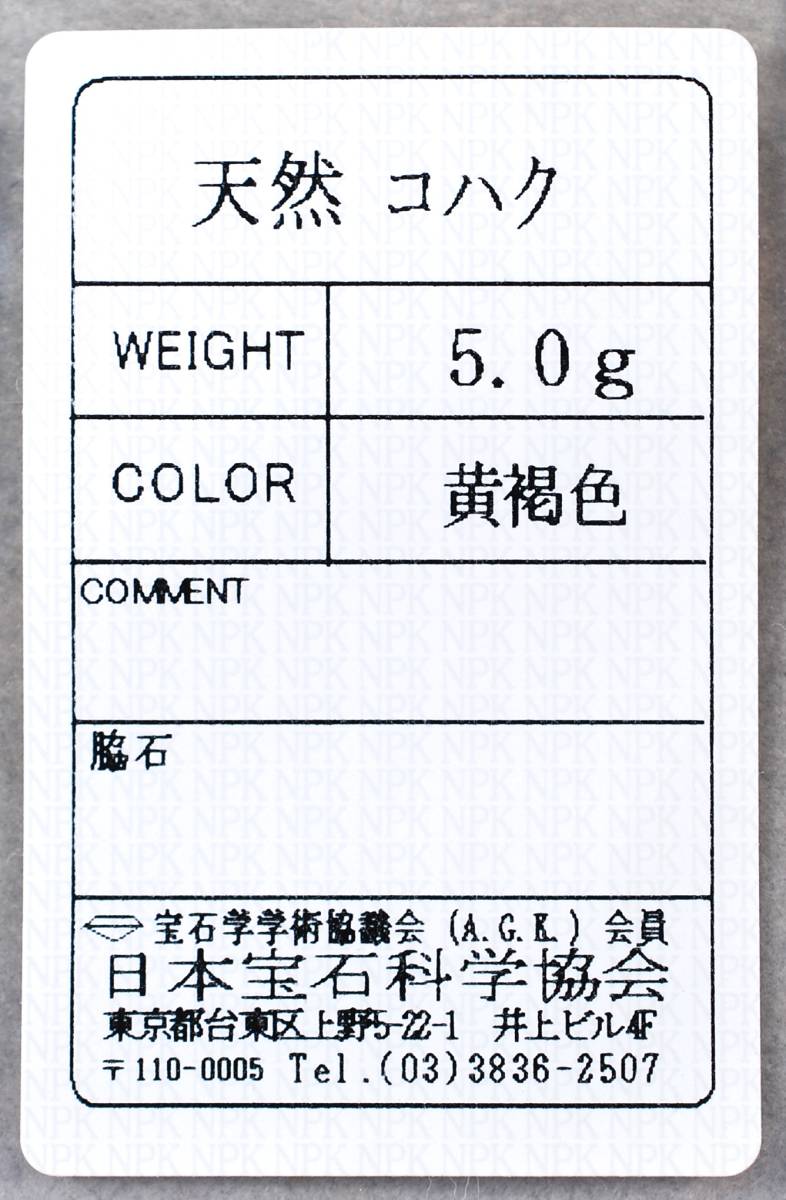 特価！ソ付K18希少虫入り(5匹)艶照り良い!天然本琥珀24.76ct49.8×18.8㍉全長58.1㍉5.1㌘PT