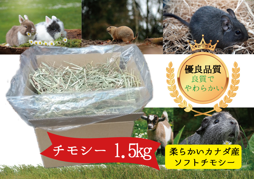 【新鮮カナダ産】優良ソフトチモシー1.5ｋｇ　牧草、乾草、ウサギ、デグー_画像1