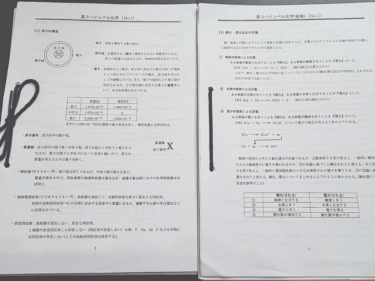 駿台 通期 高3ハイレベル化学 プリントフルセット 上位クラス 河合塾