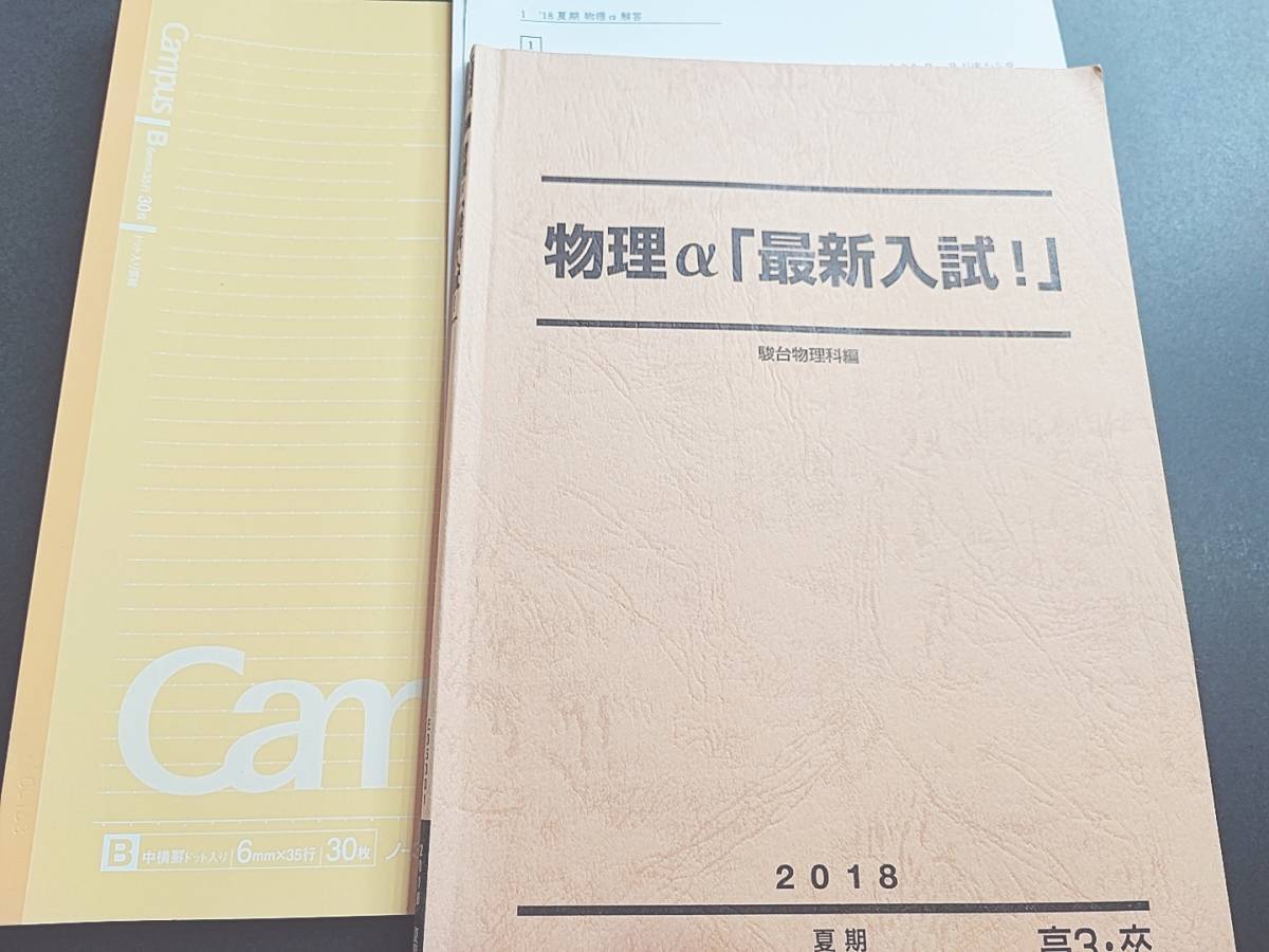 駿台　18年夏期　笠原先生　物理α「入試問題研究」　テキスト・ノート　フルセット　締切講座　物理　河合塾　鉄緑会　Z会　東進 　SEG