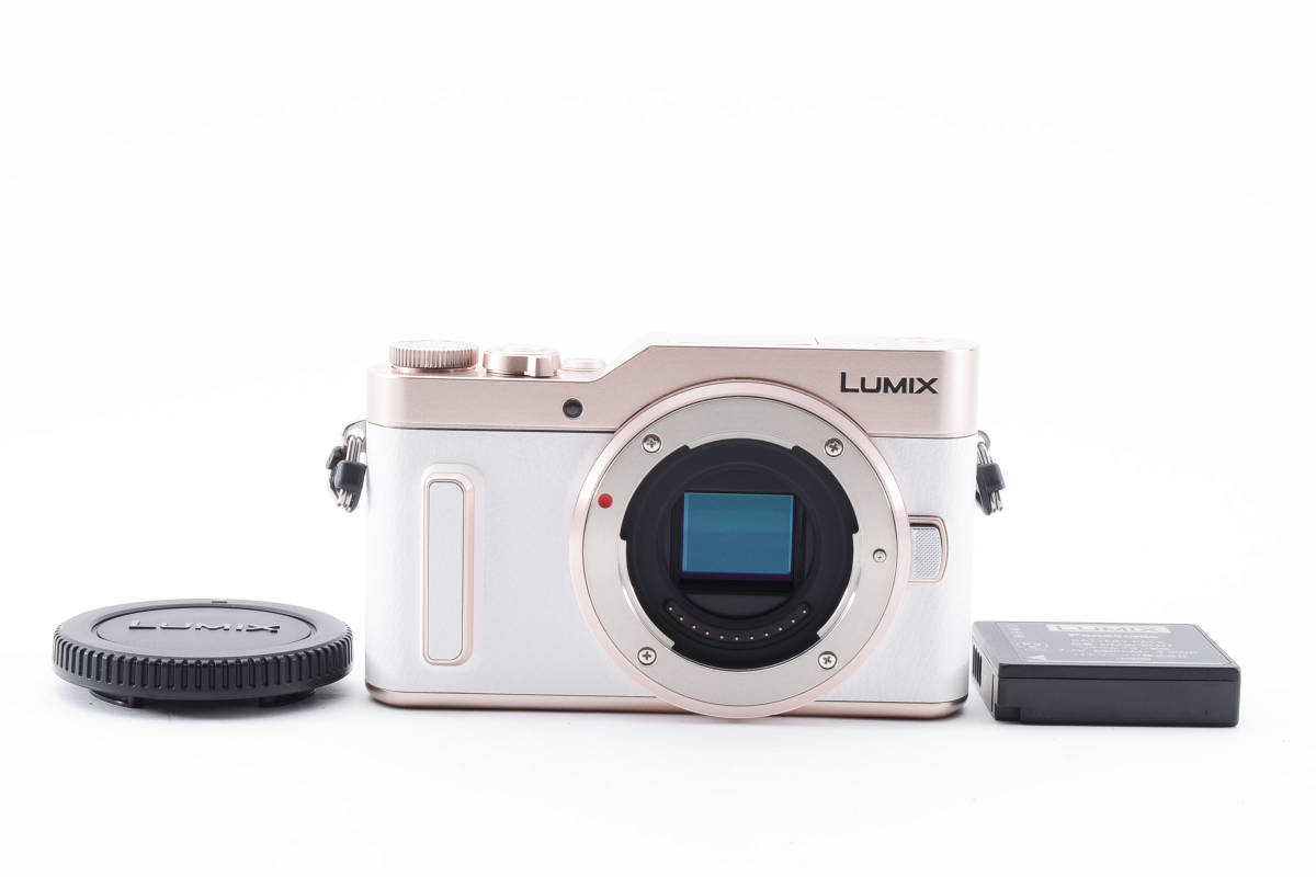 SALE／55%OFF】 パナソニック ☆大特価☆Panasonic LUMIX 1946561