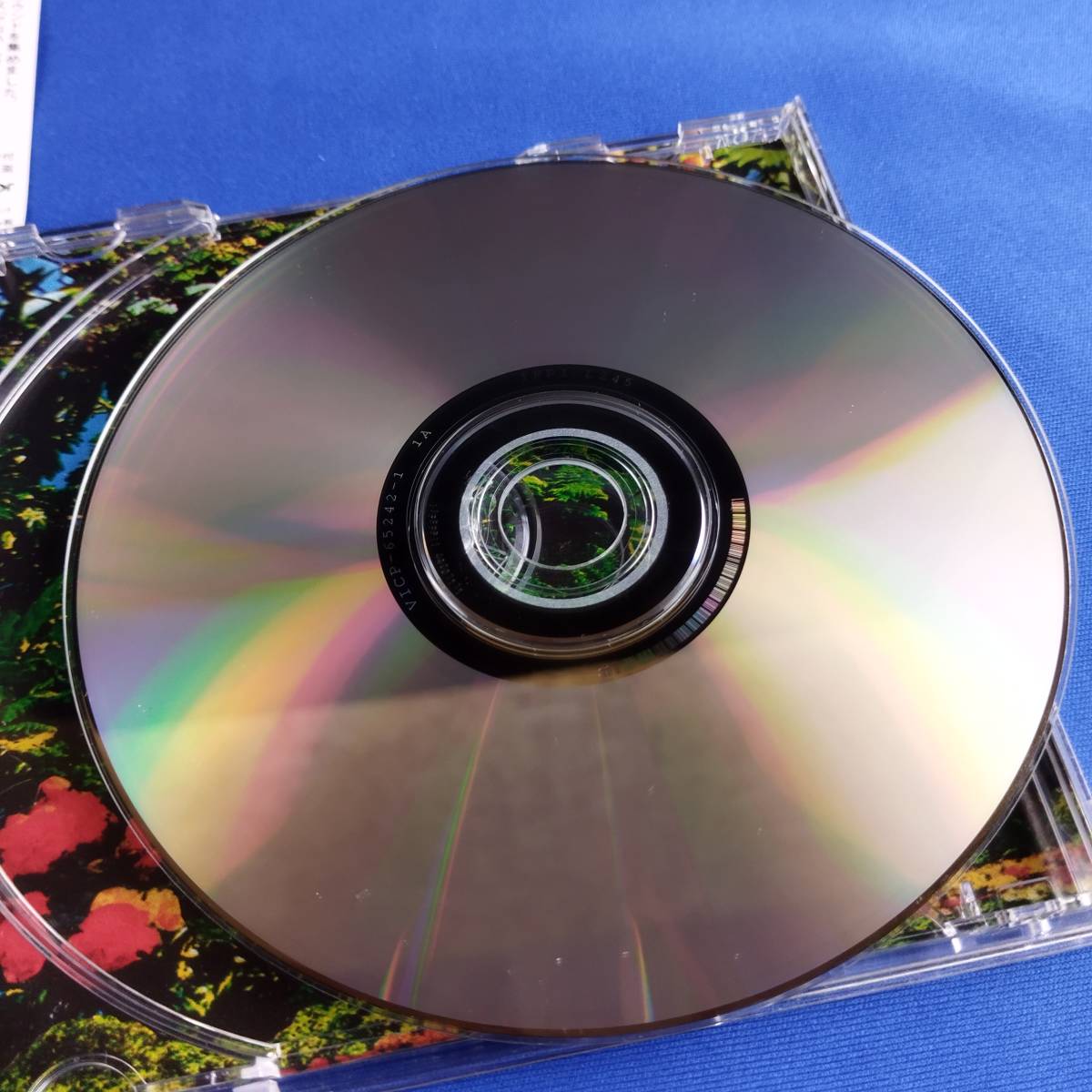 1SC5 CD アロハ・ヘヴン オルオル_画像4