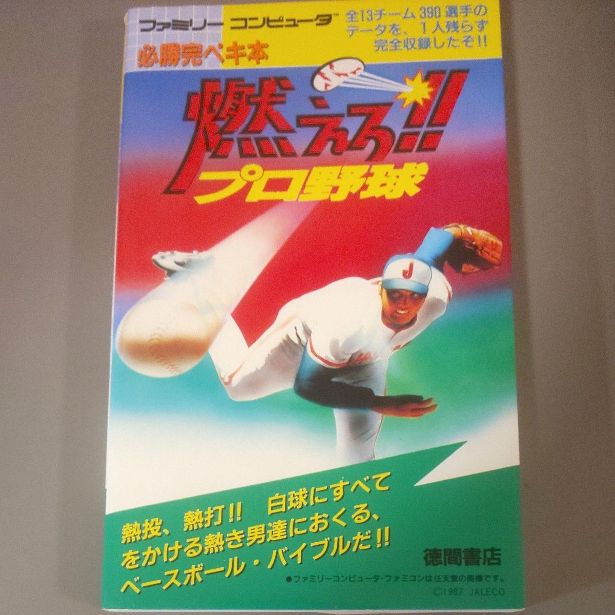 燃えろ!!プロ野球 必勝完ペキ本 攻略本 ファミリーコンピュータ ファミコン ジャレコ