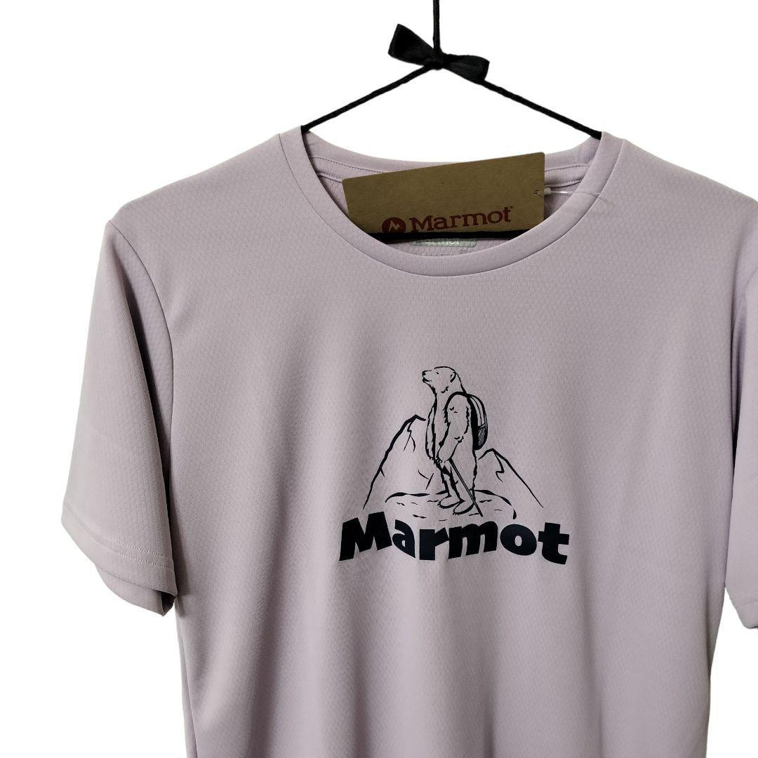 STABRIDGE Marmot 750FP DOWN T-SHIRT - アウター