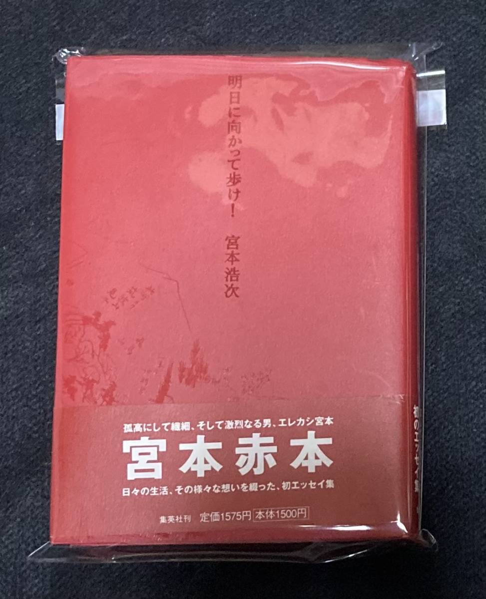 ※送料無料※ 宮本浩次 『明日に向かって歩け！』エレファントカシマシ エレカシ 初版 絶版 希少 レア