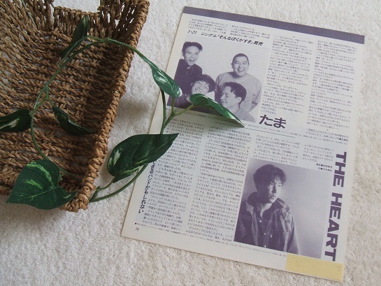 レア? ◇33年前◇レトロ◇ たま/知久寿焼/石川浩司/滝本晃司 レア? ◇33年前◇レトロ◇ たま/知久寿焼/石川浩司/滝本晃司