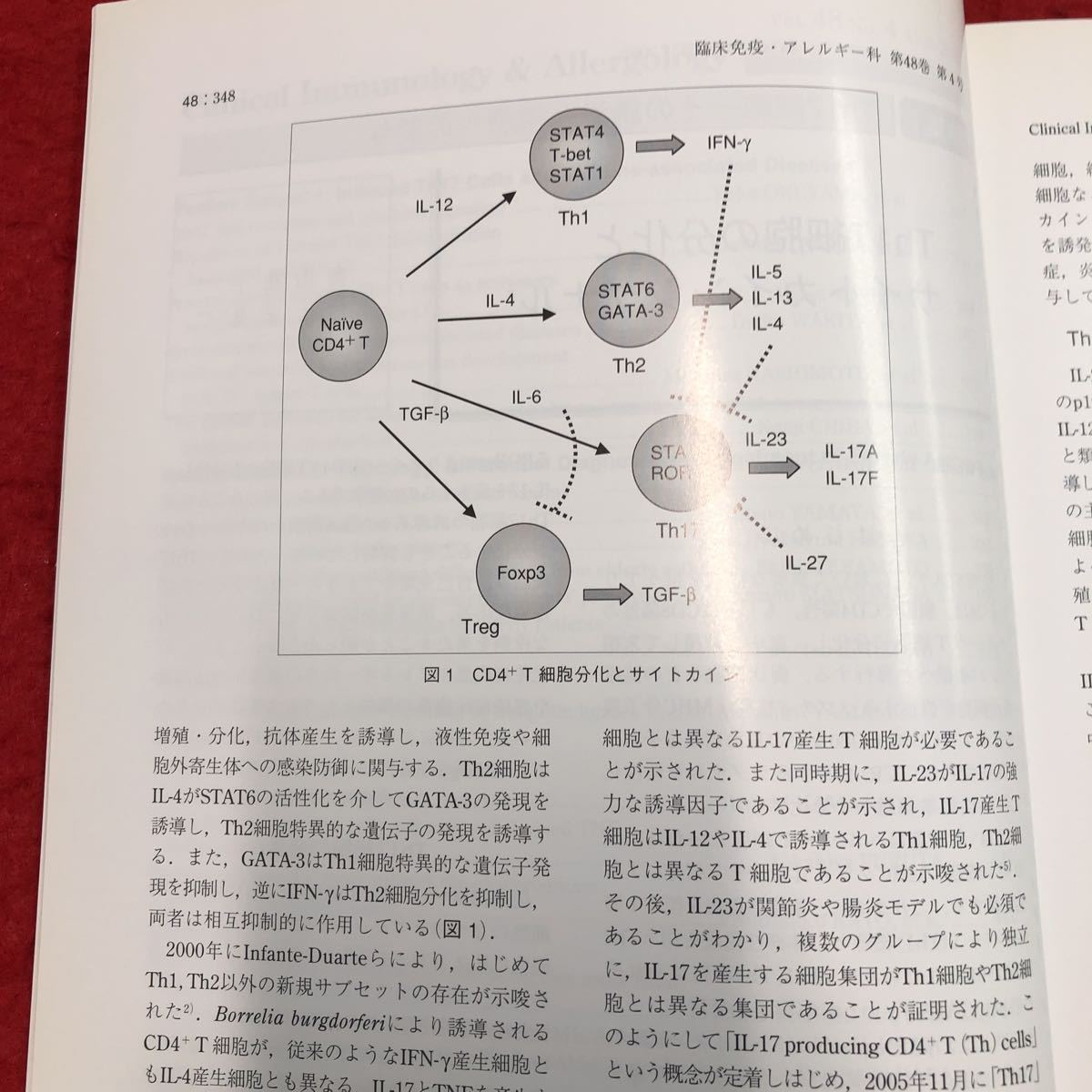 S6i-016 臨床免疫・アレルギー科 2007年10月号 vol.48 No.4 Th17細胞-その誘導と疾患への関与 平成19年10月25日 発行 科学評論社 雑誌 医学_画像6