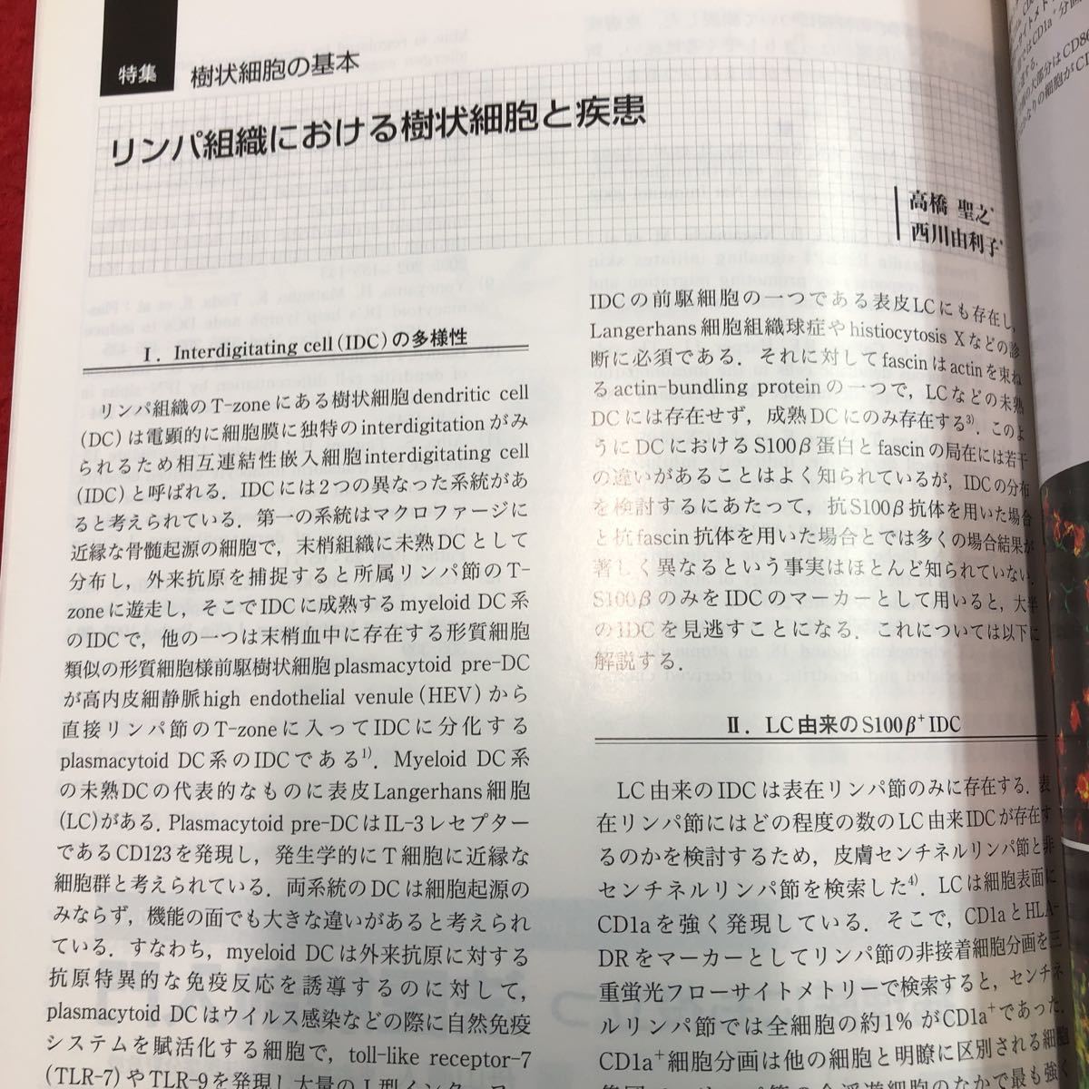 S6i-020 病理と臨床 2006年5月号 vol.24 No.5 樹状細胞の基本 平成18年5月1日 発行 文光堂 雑誌 医学 研究 病理学 写真 免疫 皮膚 疾患_画像7