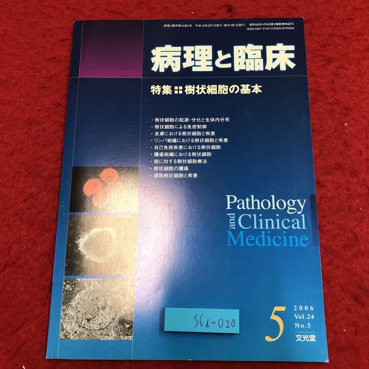 S6i-020 病理と臨床 2006年5月号 vol.24 No.5 樹状細胞の基本 平成18年5月1日 発行 文光堂 雑誌 医学 研究 病理学 写真 免疫 皮膚 疾患_画像1