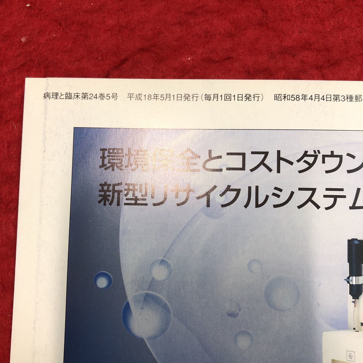 S6i-020 病理と臨床 2006年5月号 vol.24 No.5 樹状細胞の基本 平成18年5月1日 発行 文光堂 雑誌 医学 研究 病理学 写真 免疫 皮膚 疾患_画像4