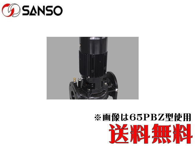 楽天スーパーセール】 鋳鉄製ラインポンプ 三相電機 65PBZ-15033B-E3