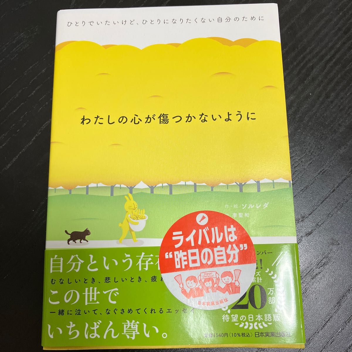 わたしの心が傷つかないように ひとりでいたいけど、ひとりになりたくない自分のために／ソルレダ／李聖和