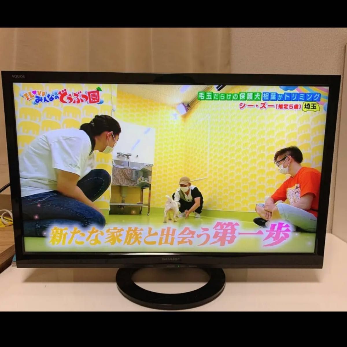 SHARP LED AQUOS K30 LC-24K30-B テレビ シャープ - テレビ