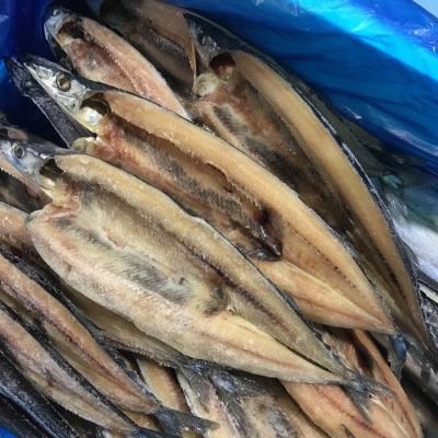 * special selection![ Hokkaido production saury opening dried ] approximately 5kg ( approximately 100gx50 tail ) case bargain sale! fresh . saury . opening dried!10kg till uniform carriage . we deliver!