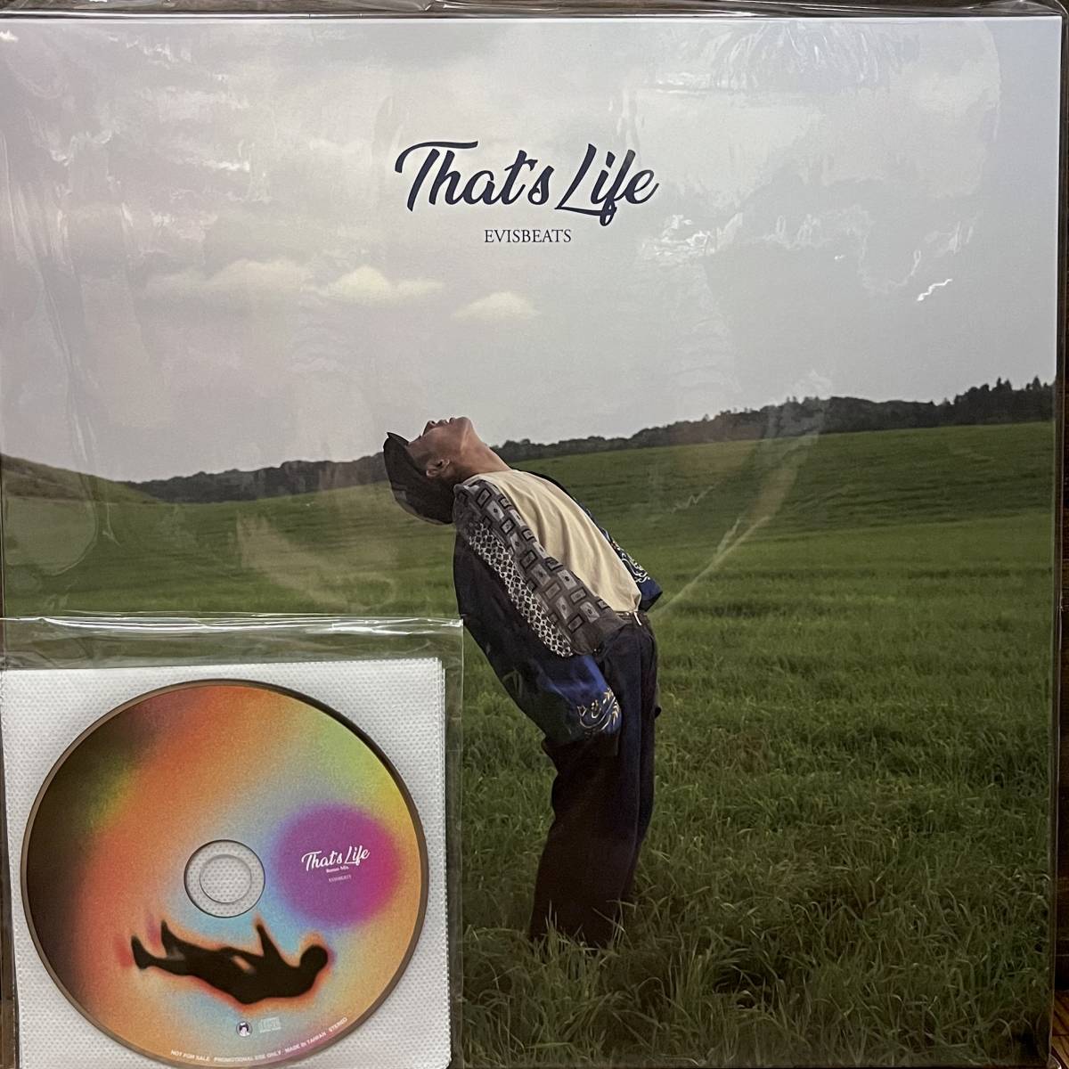 新品 2LP 特典 MIX CD付き EVISBEATS / That's Life 検) Jazzy PUNPEE Stuts KAN SANO Nujabes Ovall basi Haruka SUKISHA 田我流 Vaundy_画像1