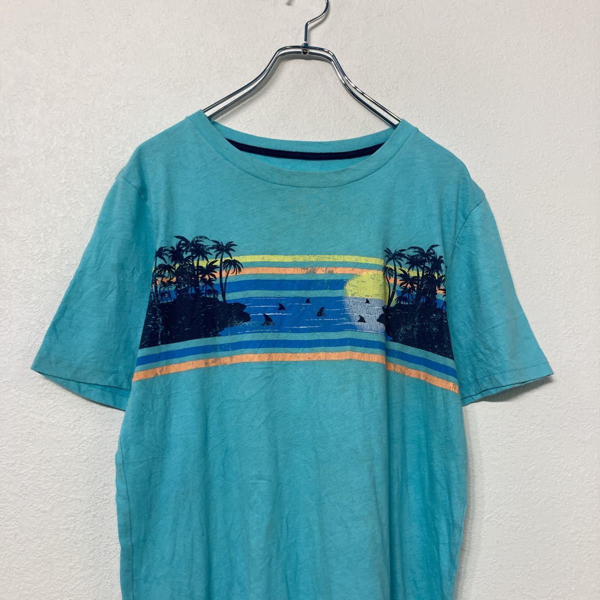 ARIZONA 半袖 プリント Tシャツ ユースサイズ XL 160～ ブルー ヤシの木 ビーチ アリゾナ 古着卸 アメリカ仕入 a507-5851_画像2