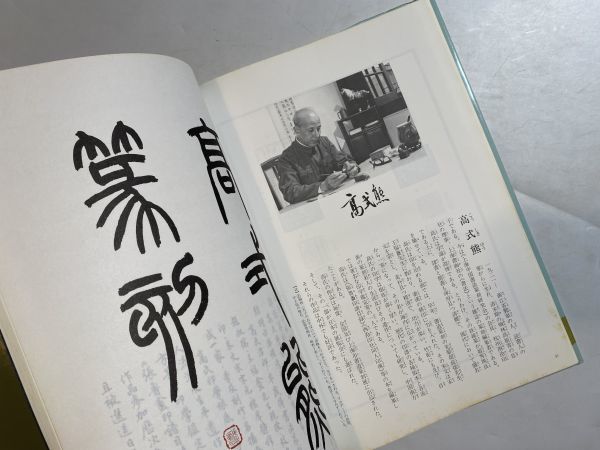 現代中国篆刻芸術 中国　書道_画像4