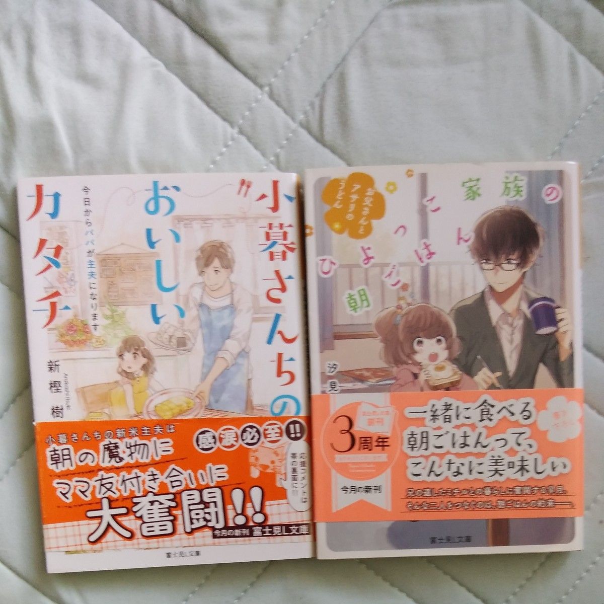 ひよっこ家族の朝ごはん　お父さんとアサリのうどん （富士見Ｌ文庫　し－４－２－１） 汐見舜一／〔著〕