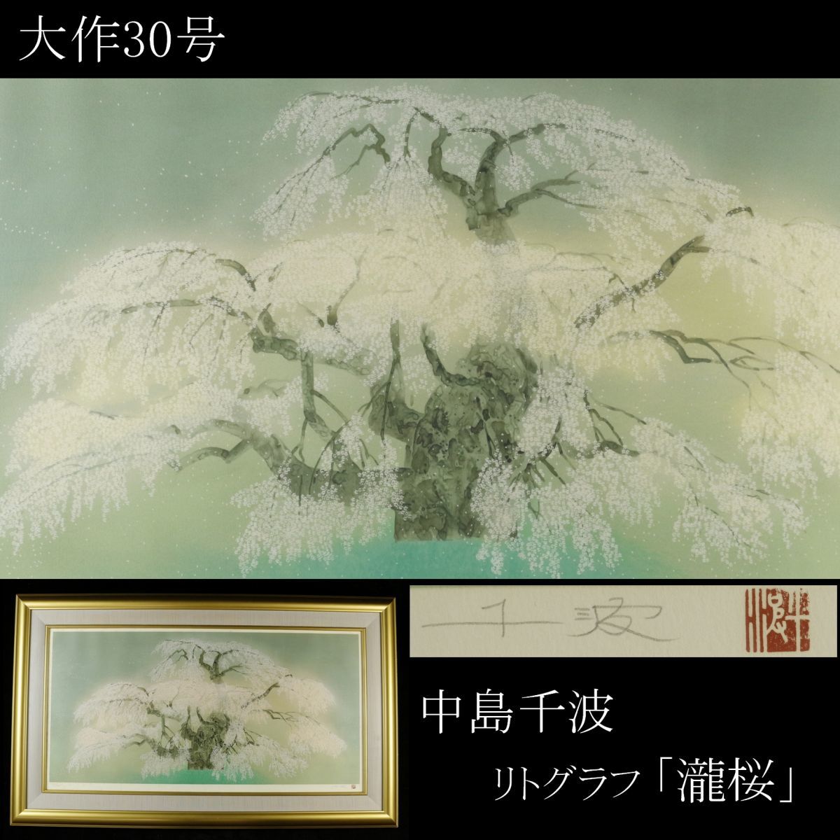 中島千波 瀧桜 保証書付き | pisoeletrico.com.br