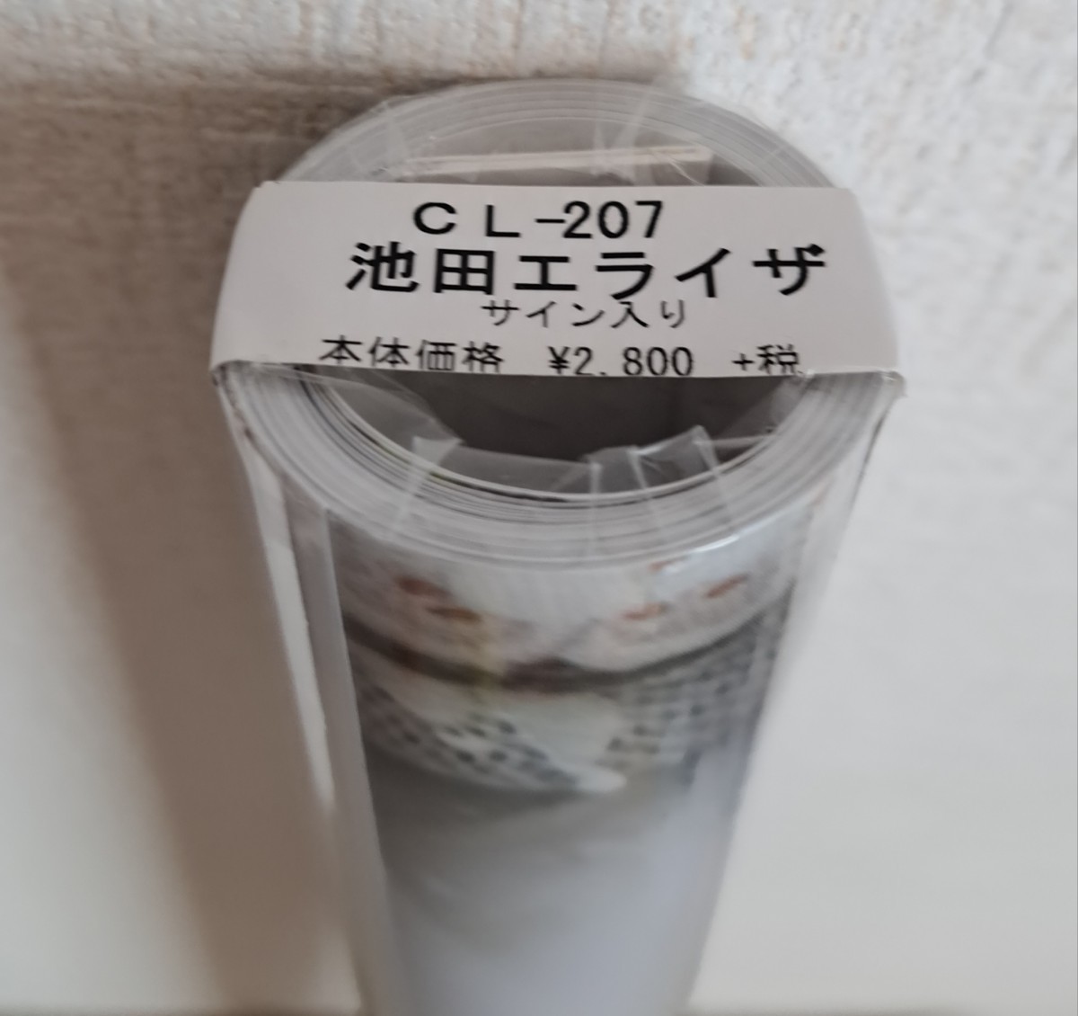 即決 池田エライザ 直筆サイン入り カレンダー 2020 新品未開封品