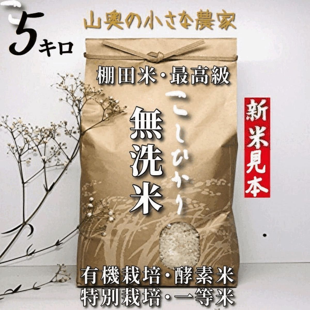 福岡空港免税店 新米 棚田 幻のハイブリッド 大粒 酵素米 お米 玄米
