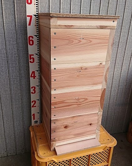 送料無料・３組セット・日本蜜蜂・給餌・メントール対応すのこ式中蓋付　杉28mm角４段重箱式巣箱・トリカルネット・網付底板付き ２８型