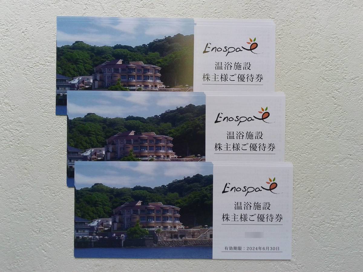 【送料無料】 江の島アイランドスパ無料優待券 １２枚_画像1