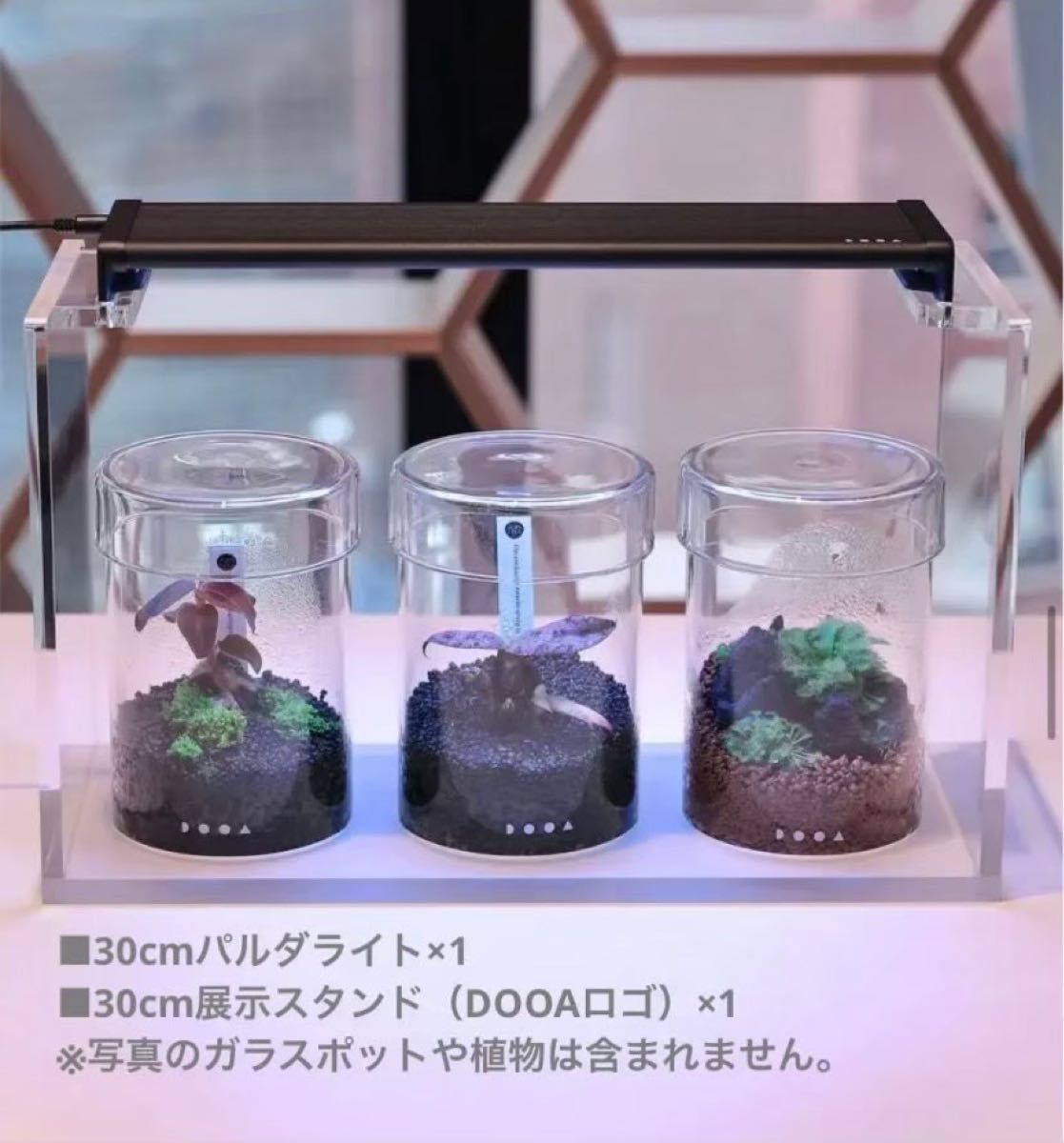 【新品】ADA ガラスポットMARU用展示スタンドセット30cm用　アクアデザインアマノ