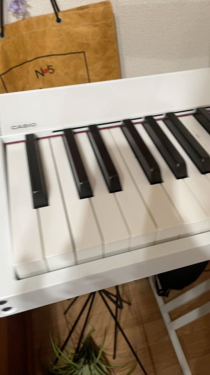 CASIO PRIVIA-S1000 本体 スタンド