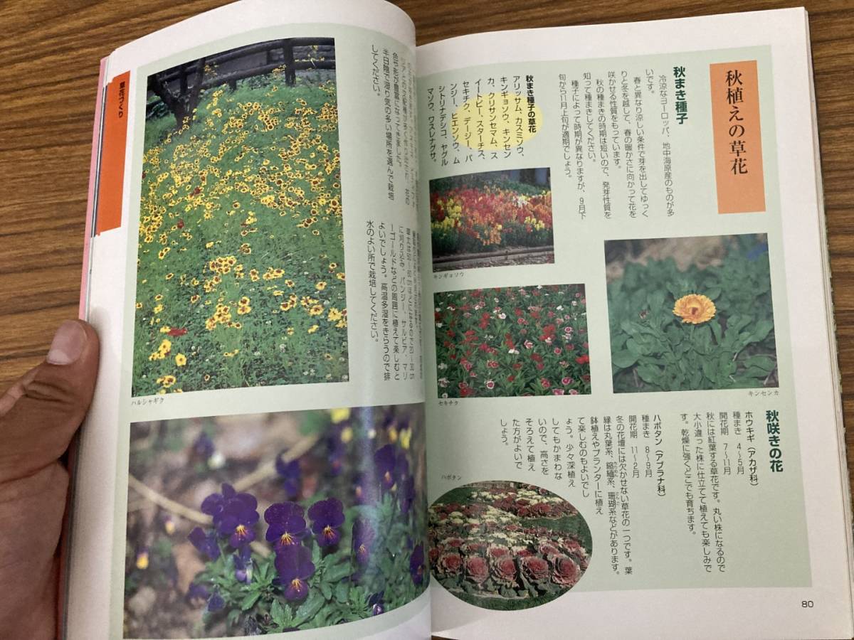 [ Kochi. garden ... flower ...] Takei road Hara Kochi newspaper company /R23