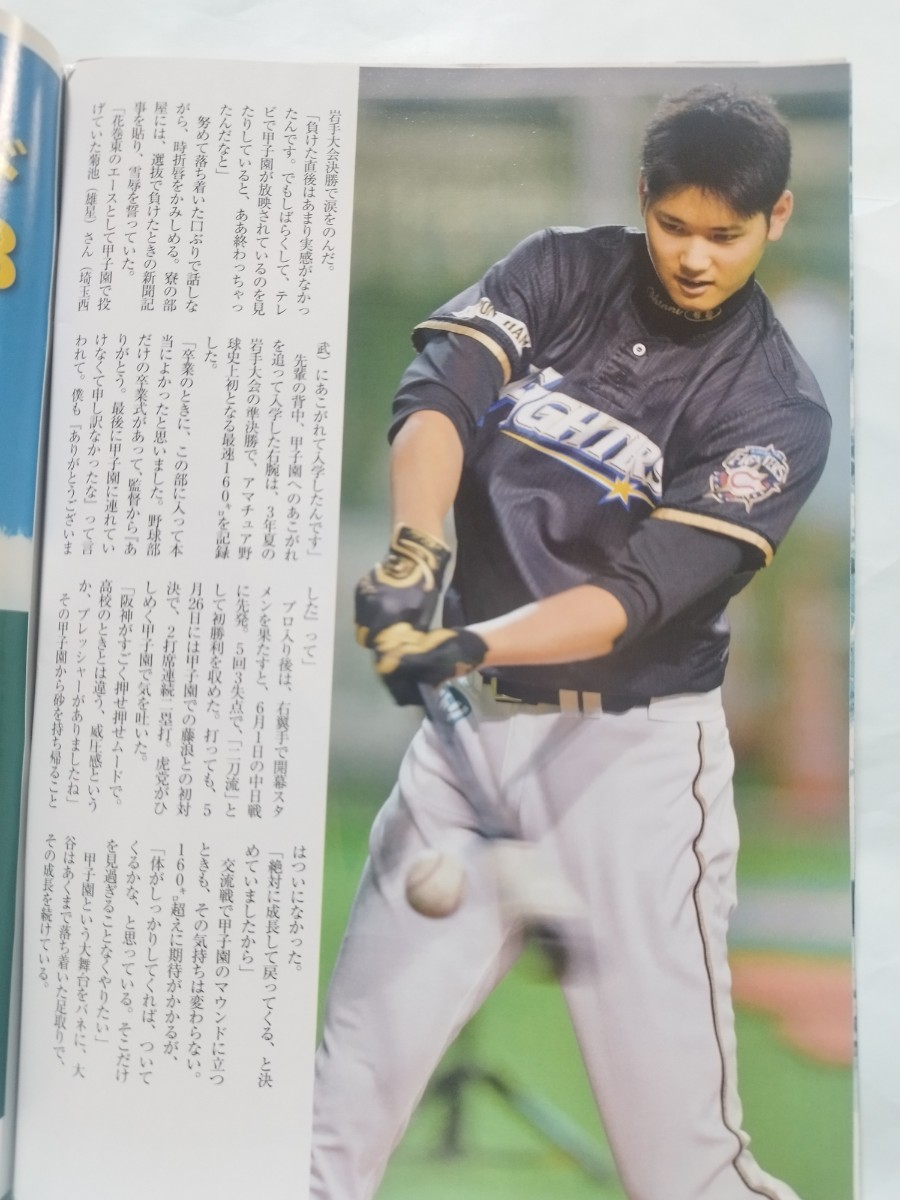 週刊朝日増刊　2010&2013甲子園　第92&95回全国高校野球選手権　2冊セット　大谷翔平　藤浪晋太郎　斎藤佑樹