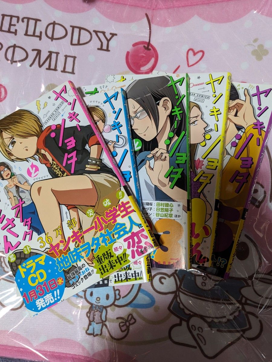 ヤンキーショタとオタクおねえさん【1~5巻】