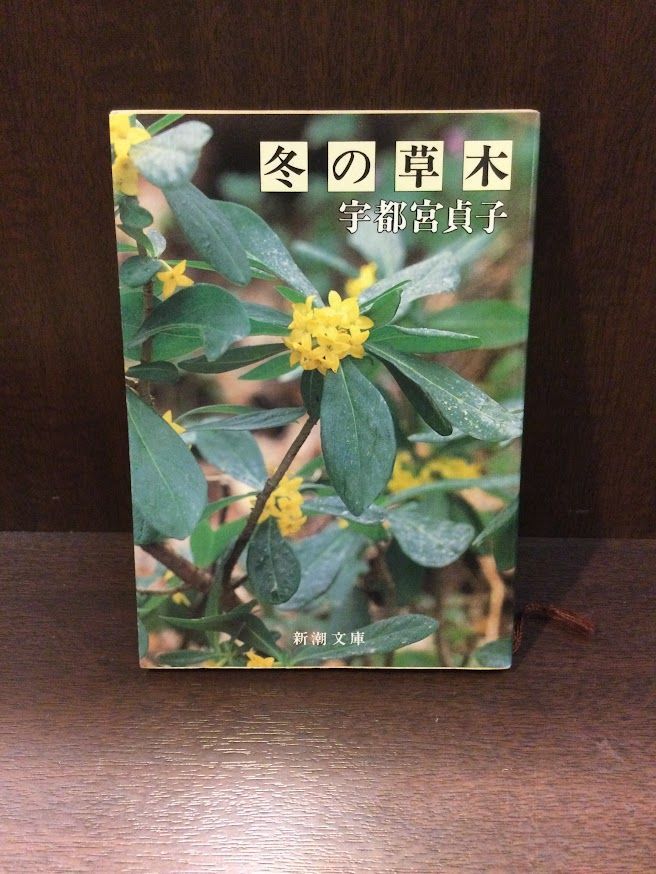 　冬の草木 (新潮文庫) / 宇都宮 貞子_画像1