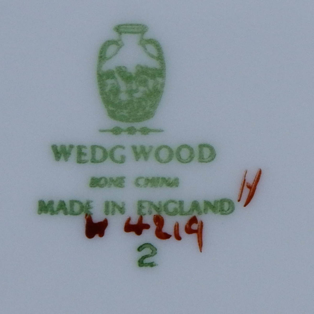 ウェッジウッド フロレンティーン ゴールドホワイト パンプレート 15cm Wedgwood 緑壺 Gold Florentine_画像7