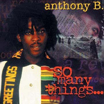 米LP Anthony B So Many Things VPRL1482 VP Records /00260_画像1