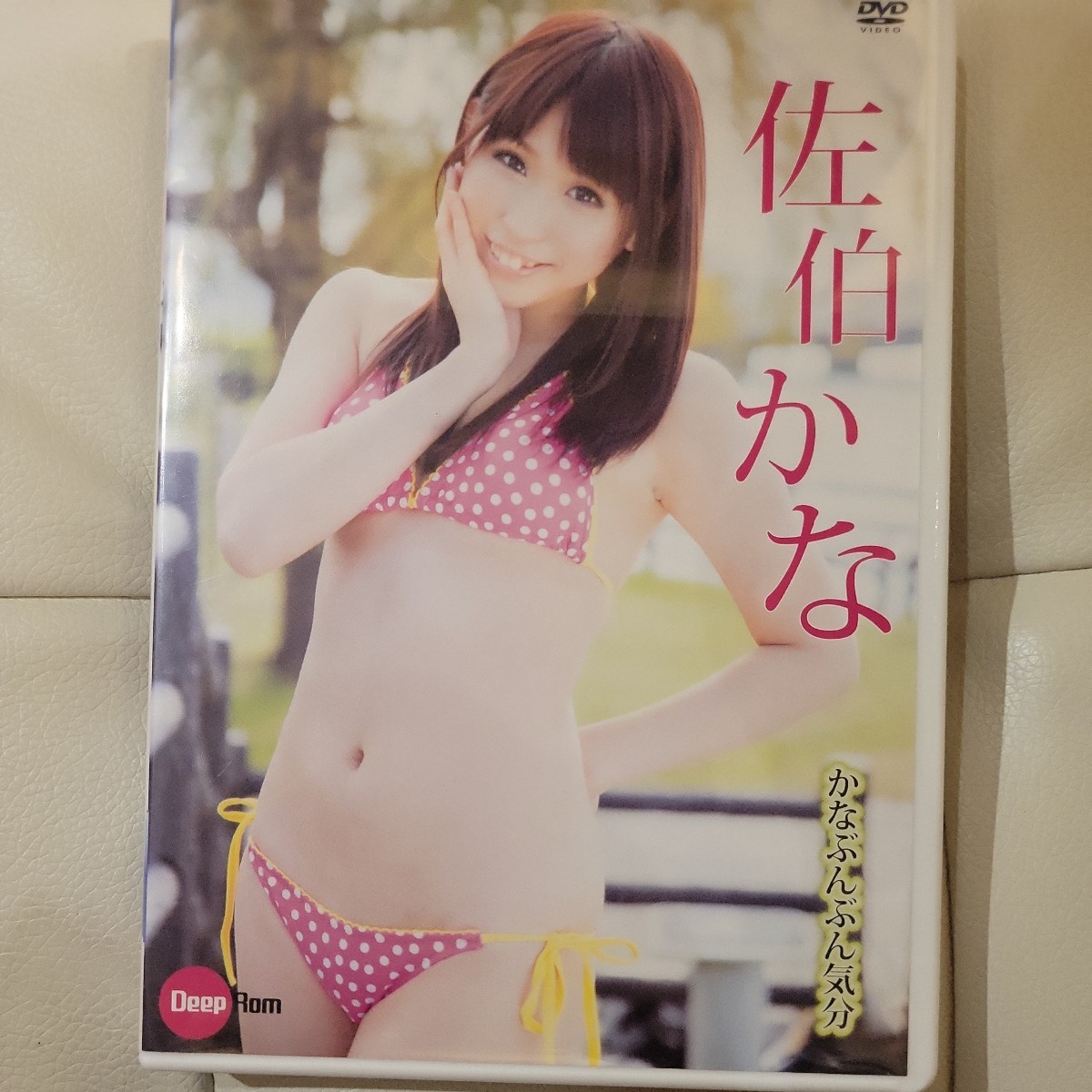 a アイドルDVD　佐伯かな / かなぶんぶん気分_画像1