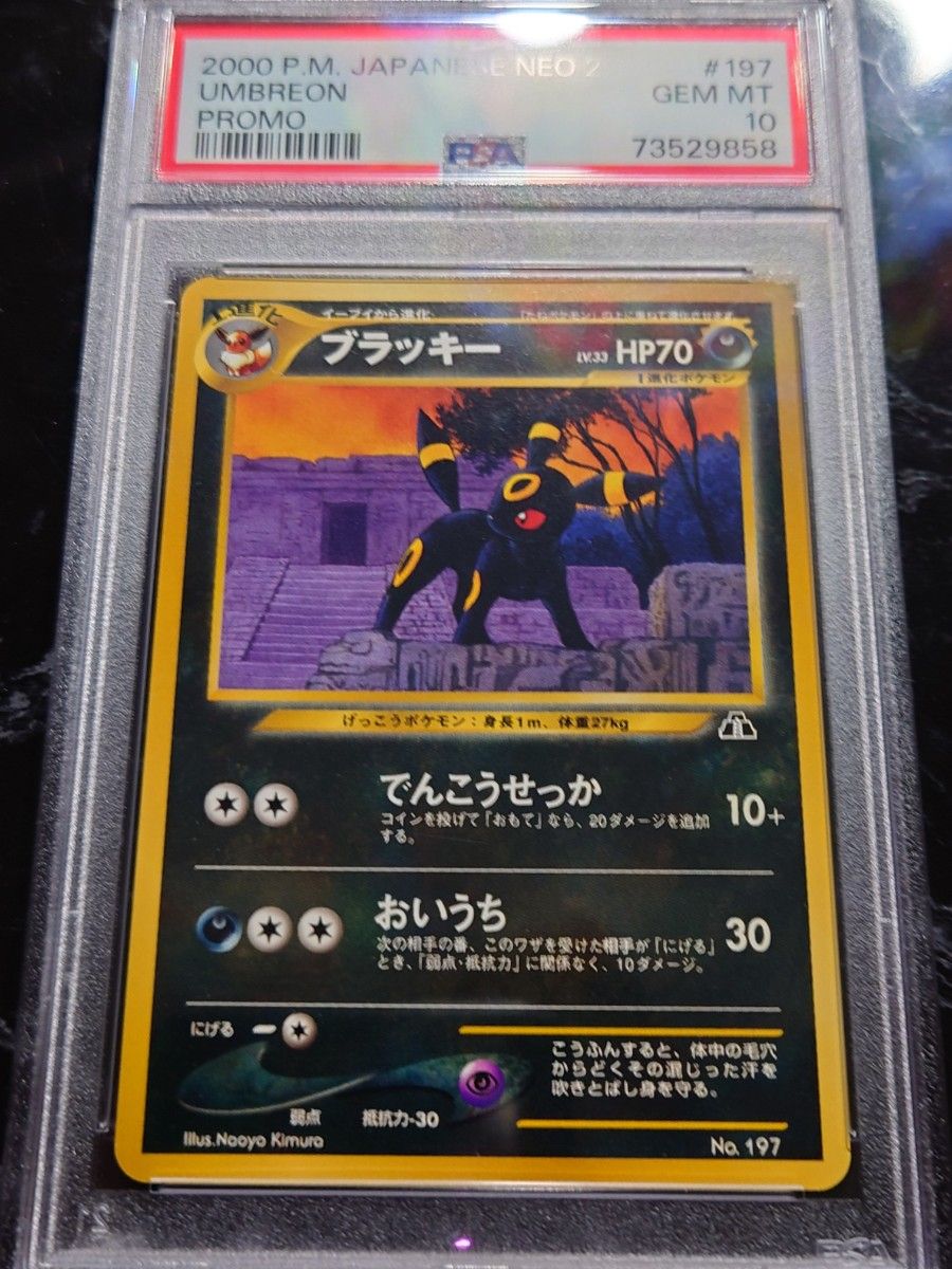 PSA10 ブラッキー 旧裏 ポケモンカード 197 Neo2 ブイズ ポケカ-