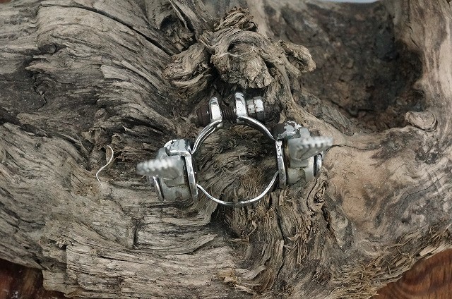 カンパニョーロ パーツ CAMPAGNOLO ロードレーサー用 W シフトレバー (当時物)_背景の木は付属しません。